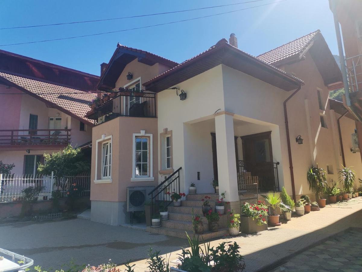 Vila Ana Băile Herculane Exterior foto