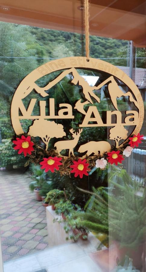 Vila Ana Băile Herculane Exterior foto